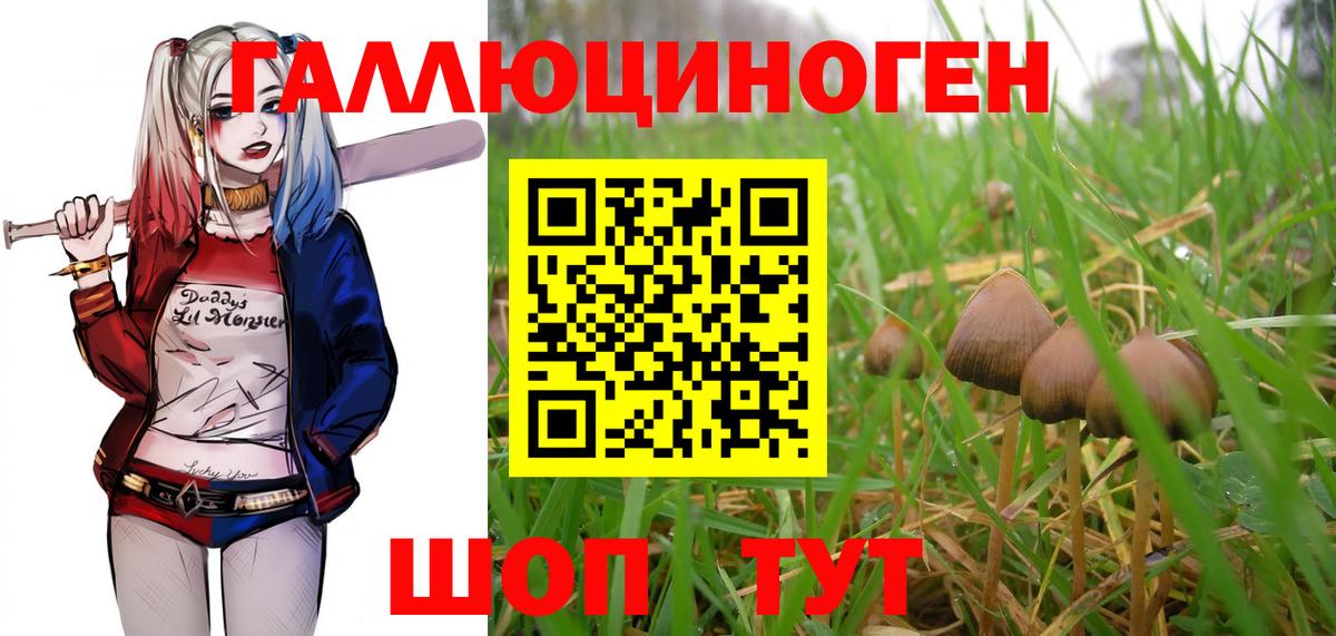 Галлюциногенные грибы Psilocybe Пыть-Ях